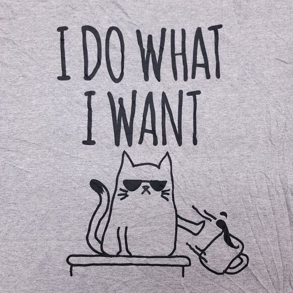 DOM I Do What I Want Graphic Short Sleeve T Shirt Mens Size Large L Gray - Picture 1 of 10